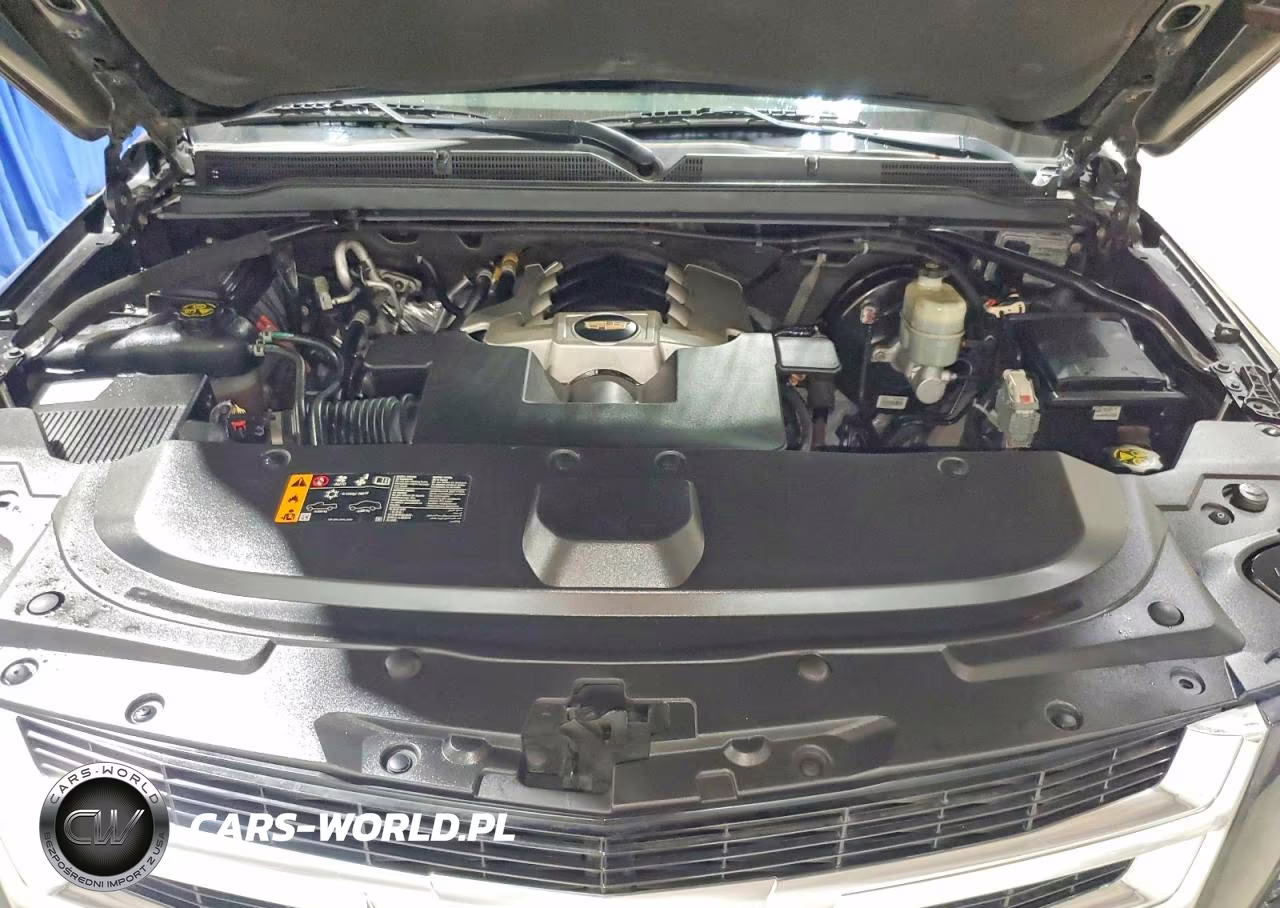 2020 Cadillac Escalade Esv Luxury VIN:1GYS4HKJXLR254617 - 12