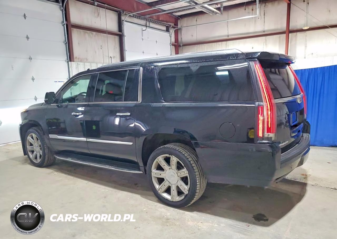 2020 Cadillac Escalade Esv Luxury VIN:1GYS4HKJXLR254617 - 2