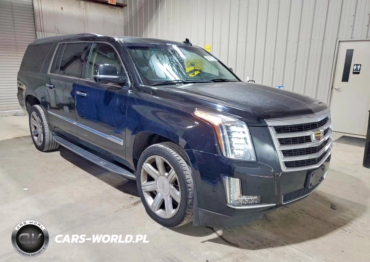 2020 Cadillac Escalade Esv Luxury VIN:1GYS4HKJXLR254617 - 4