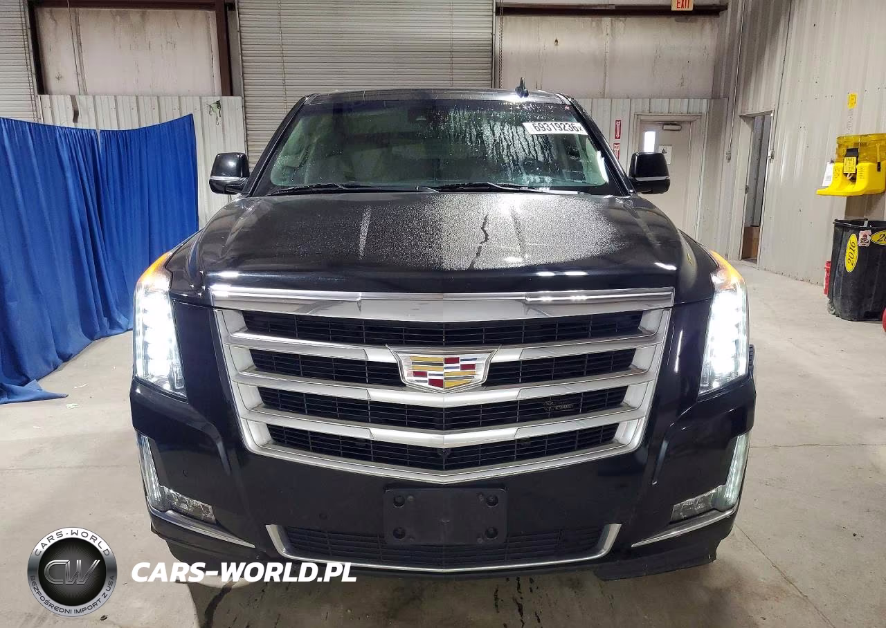 2020 Cadillac Escalade Esv Luxury VIN:1GYS4HKJXLR254617 - 5