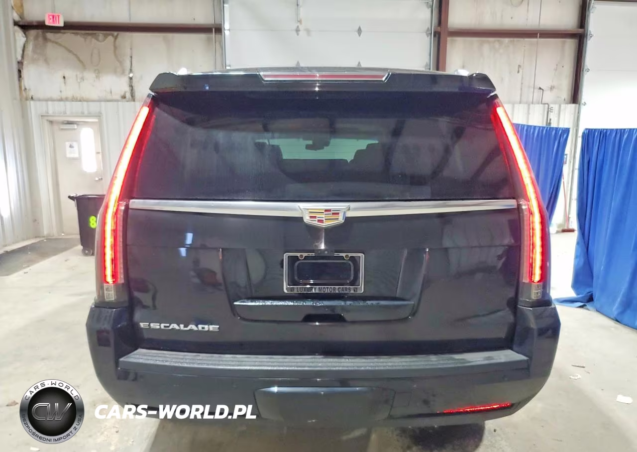 2020 Cadillac Escalade Esv Luxury VIN:1GYS4HKJXLR254617 - 6