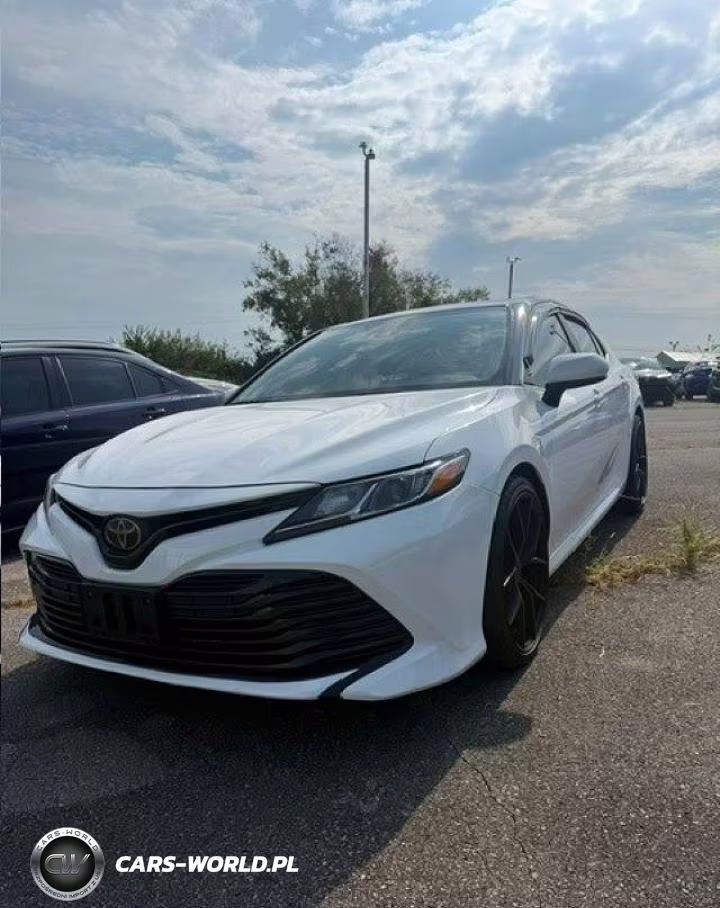 2019 Toyota Camry Le VIN:4T1B11HK7KU815806 - 2
