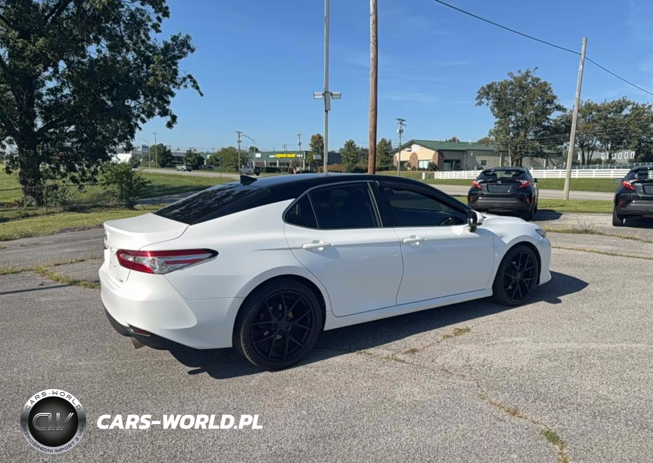 2019 Toyota Camry Le VIN:4T1B11HK7KU815806 - 4