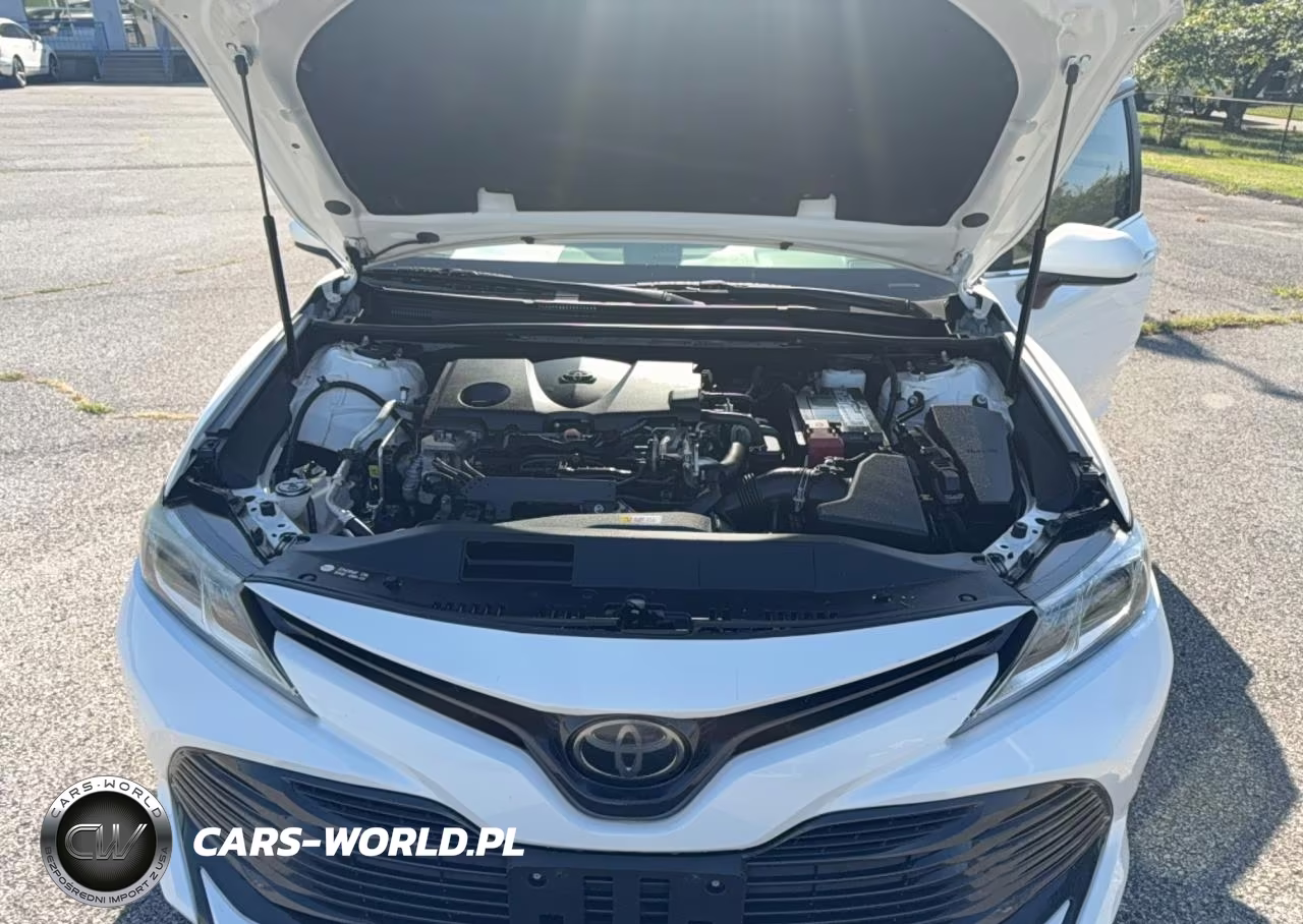 2019 Toyota Camry Le VIN:4T1B11HK7KU815806 - 7