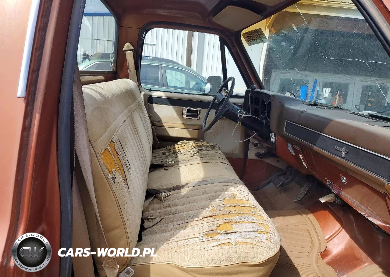 1982 Chevrolet C10 VIN:1GCDC14HXCJ162232 - 10