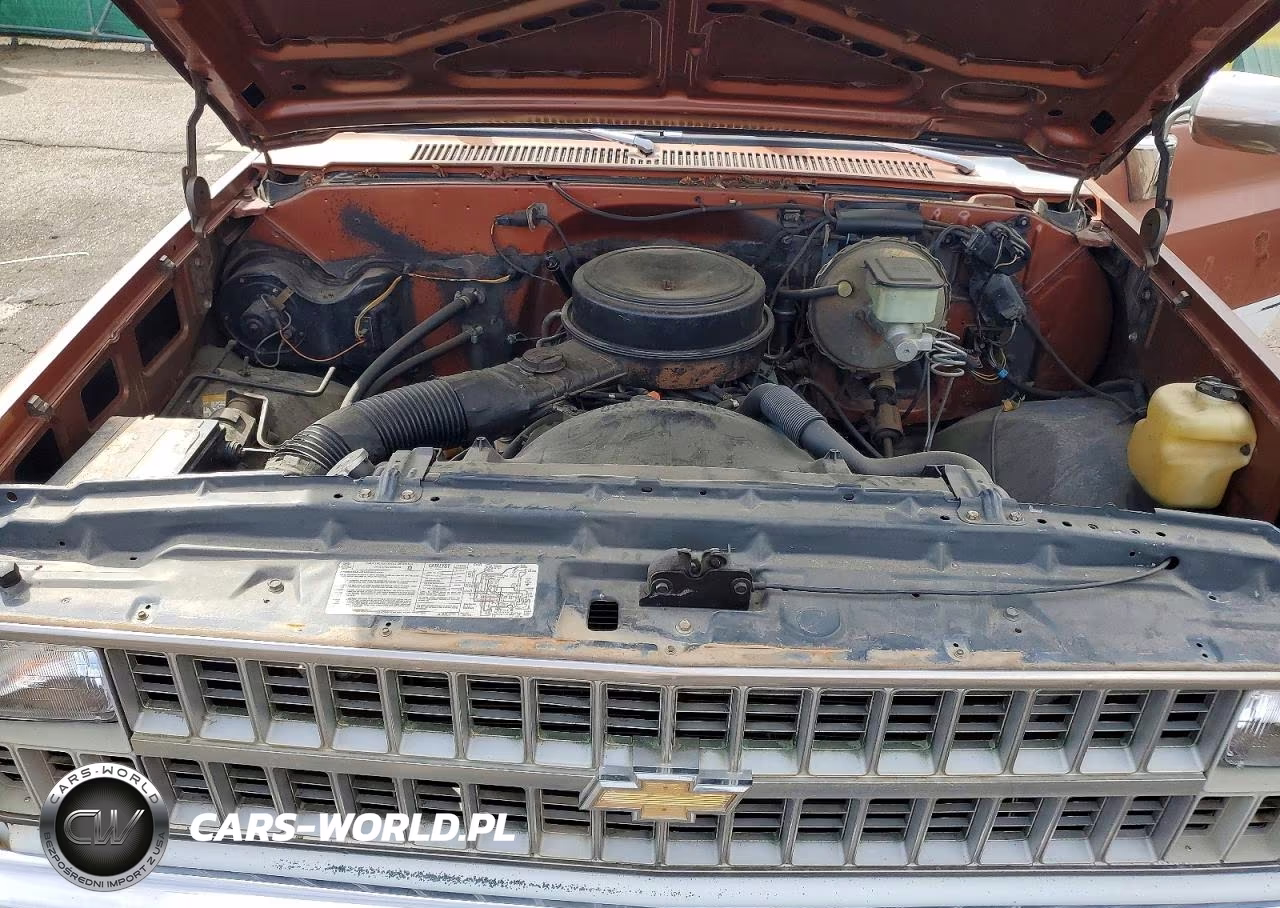 1982 Chevrolet C10 VIN:1GCDC14HXCJ162232 - 11