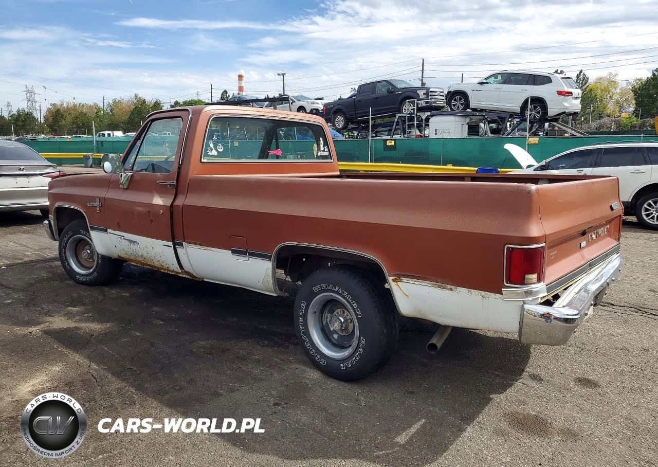 1982 Chevrolet C10 VIN:1GCDC14HXCJ162232 - 2