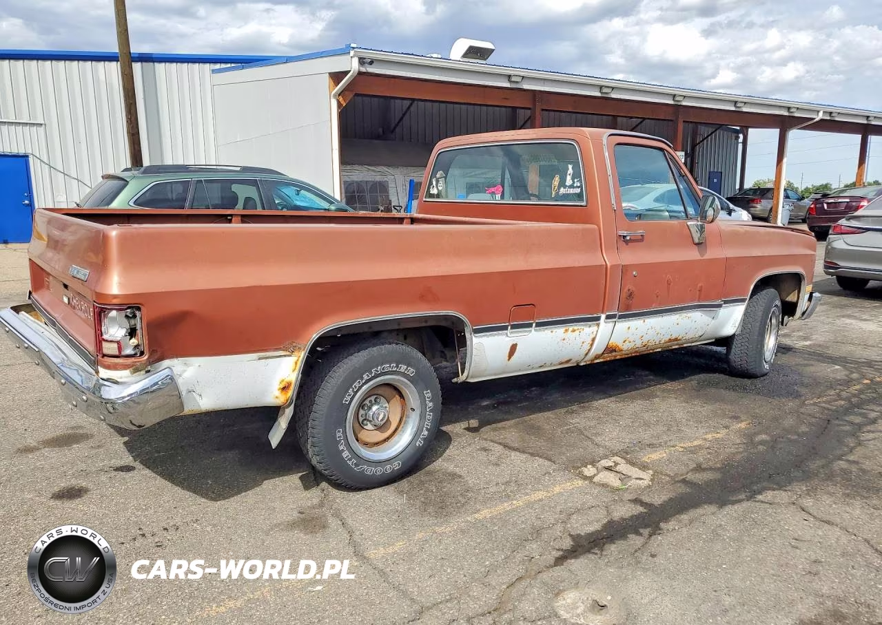 1982 Chevrolet C10 VIN:1GCDC14HXCJ162232 - 3