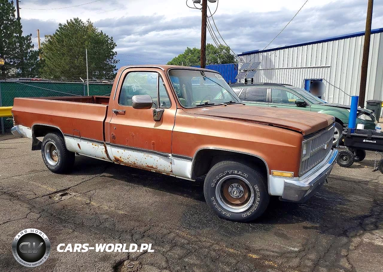 1982 Chevrolet C10 VIN:1GCDC14HXCJ162232 - 4