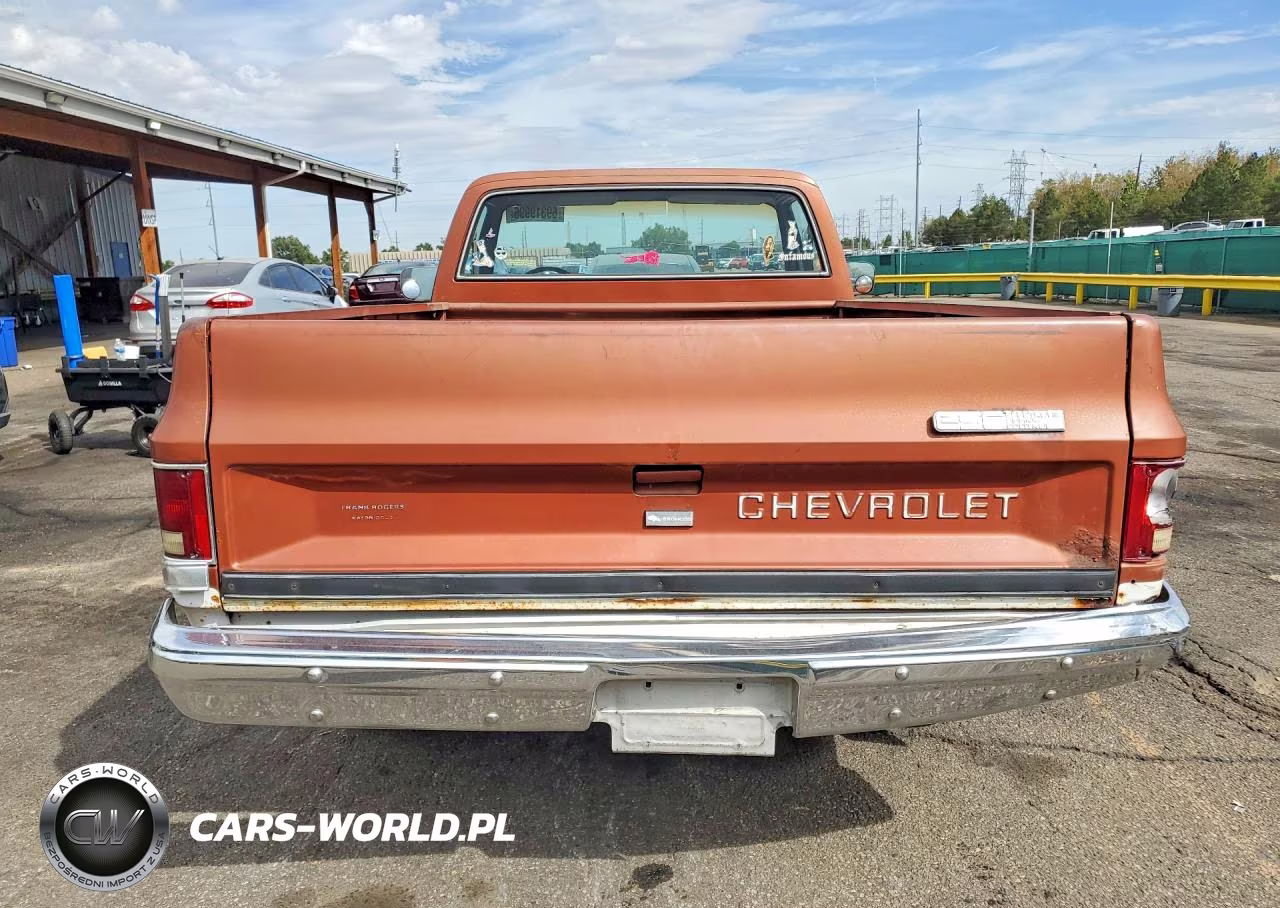 1982 Chevrolet C10 VIN:1GCDC14HXCJ162232 - 6