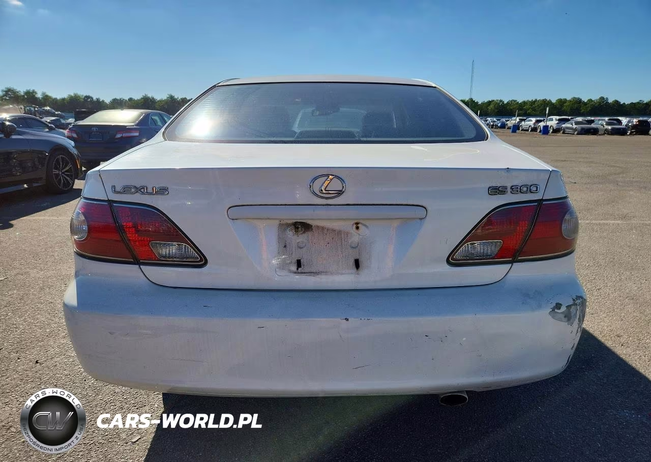 2003 Lexus Es 300 VIN:JTHBF30G430101308 - 6