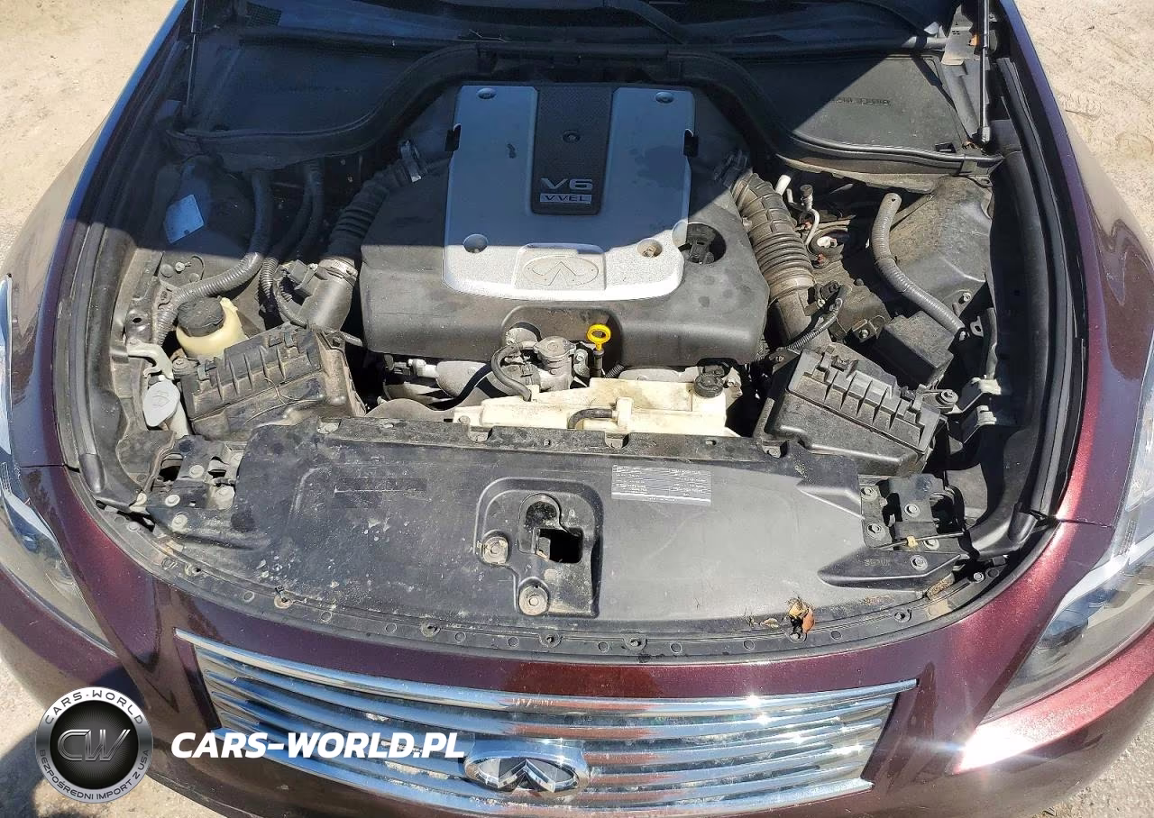 2010 Infiniti G37 Convertible Base VIN:JN1CV6FE3AM353513 - 11