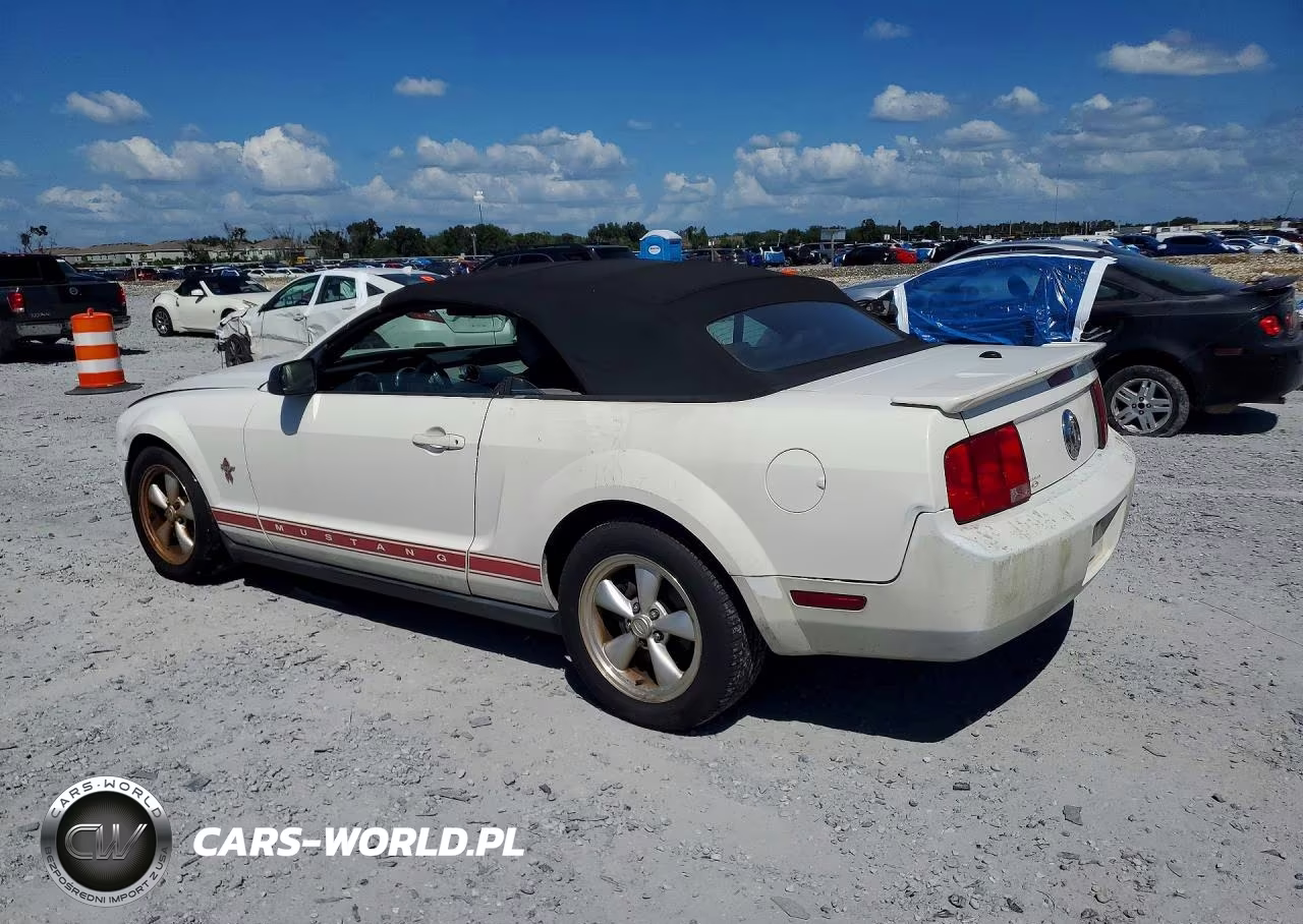 2008 Ford Mustang VIN:1ZVHT84N885106755 - 2