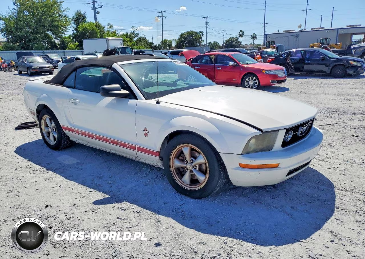 2008 Ford Mustang VIN:1ZVHT84N885106755 - 4