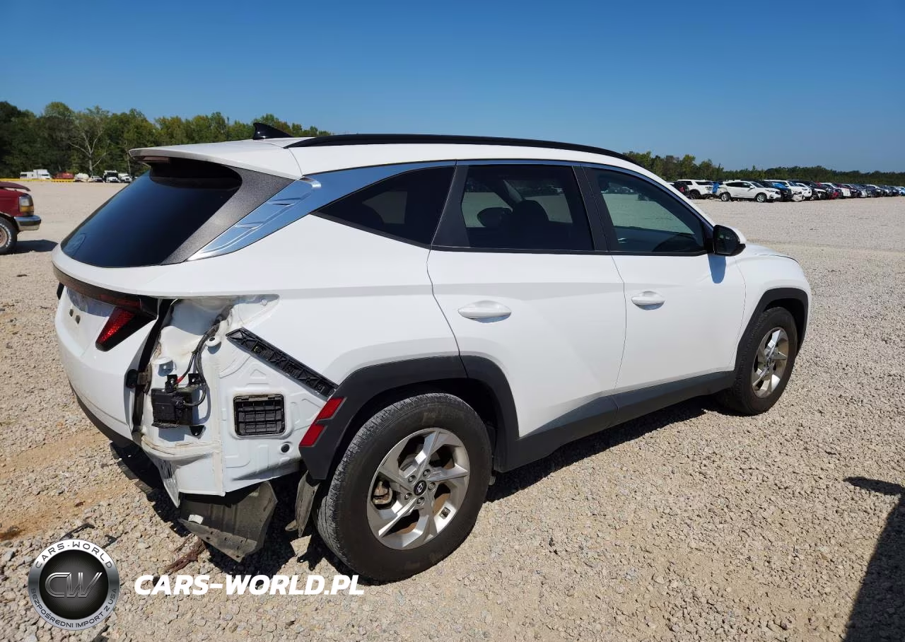2024 Hyundai Tucson Sel VIN:5NMJB3DE2RH380395 - 3