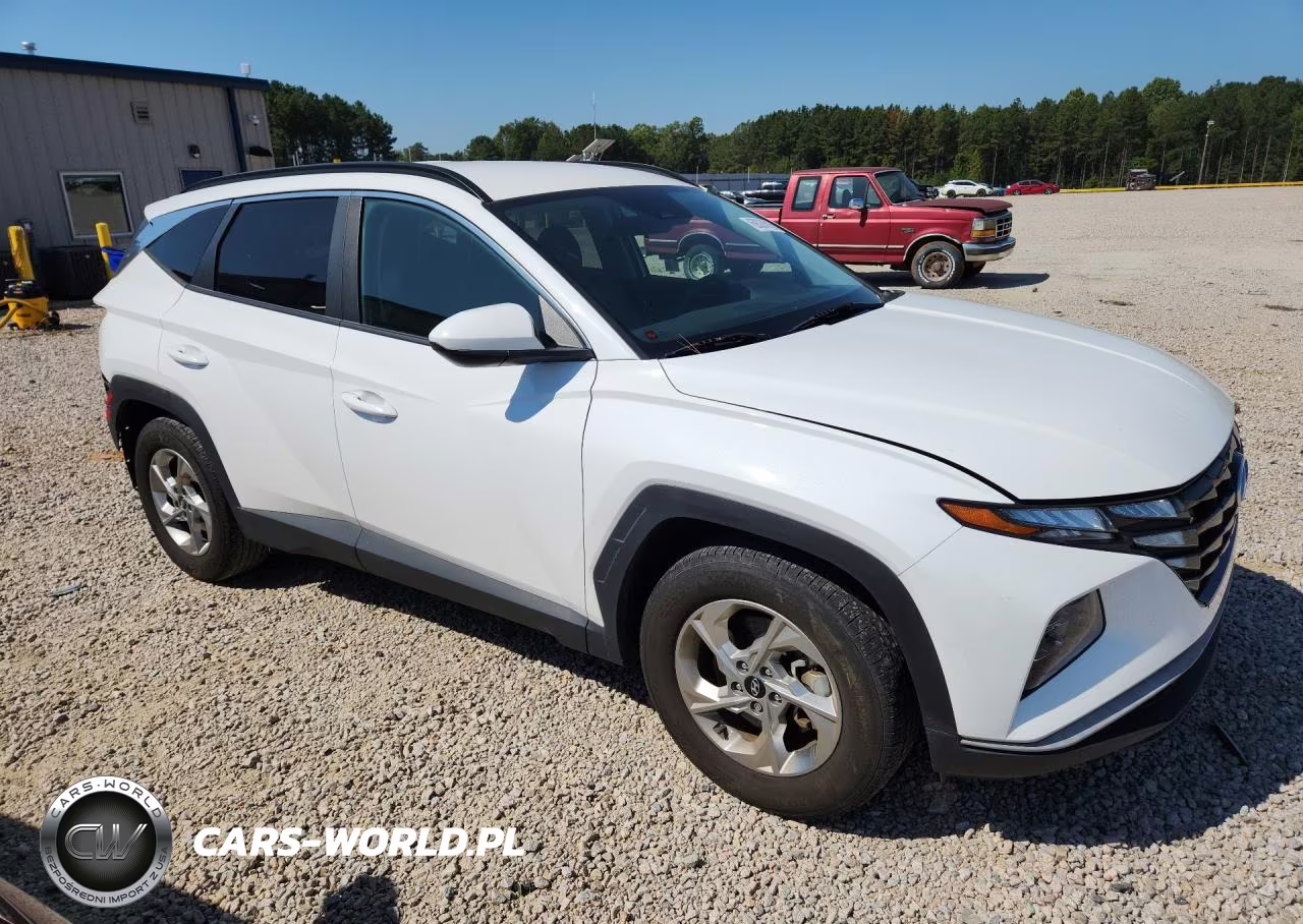 2024 Hyundai Tucson Sel VIN:5NMJB3DE2RH380395 - 4