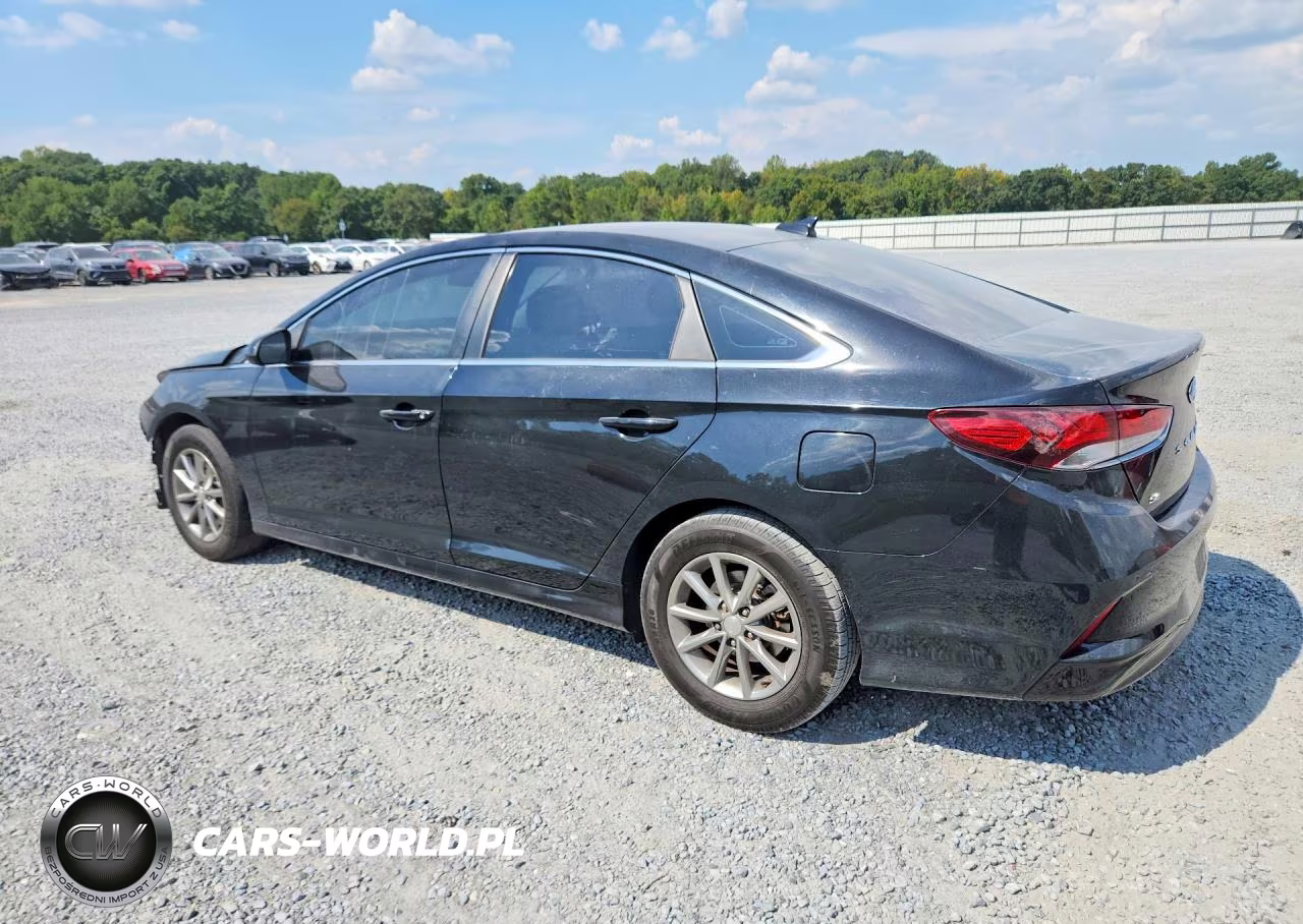 2019 Hyundai Sonata Se VIN:5NPE24AF3KH774405 - 2