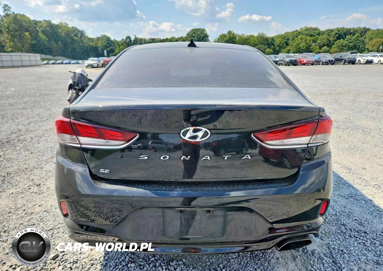 2019 Hyundai Sonata Se VIN:5NPE24AF3KH774405 - 6