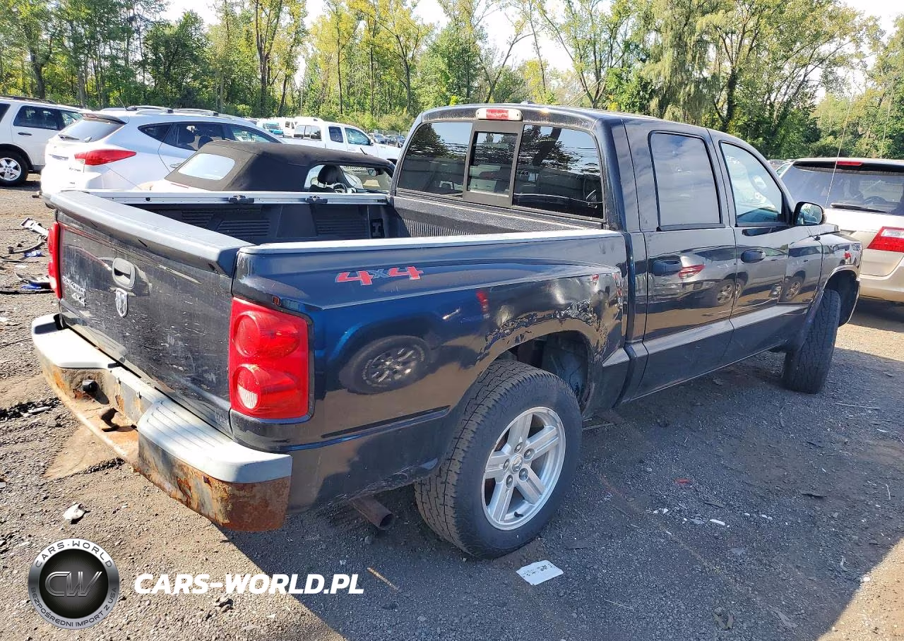 2008 Dodge Dakota Sport VIN:1D7HW68K58S503765 - 3