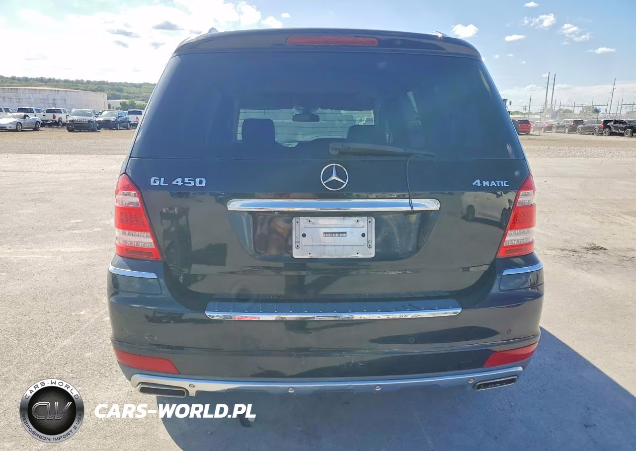 2010 Mercedes-Benz Gl 450 4Matic VIN:4JGBF7BE9AA542620 - 6
