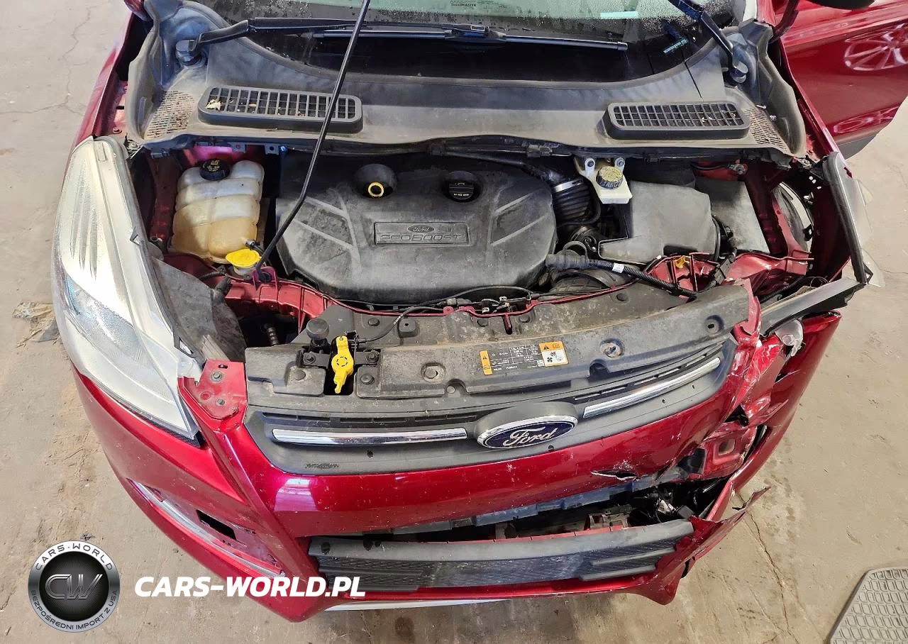 2014 Ford Escape Se VIN:1FMCU0G95EUD87694 - 12