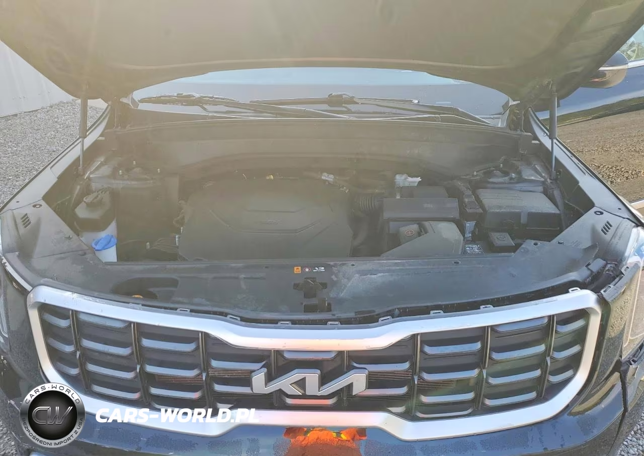 2024 Kia Telluride S VIN:5XYP6DGC1RG414626 - 12