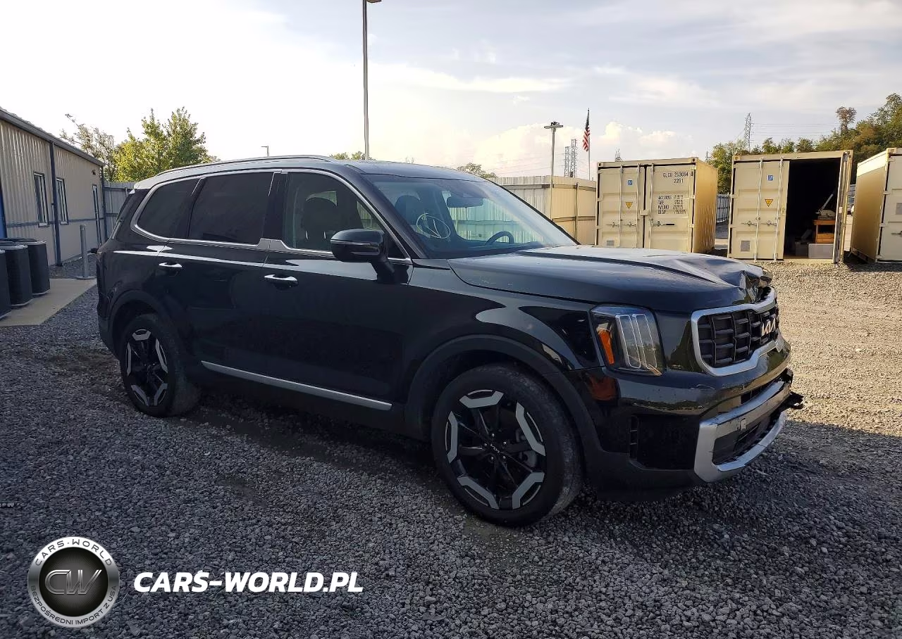 2024 Kia Telluride S VIN:5XYP6DGC1RG414626 - 4