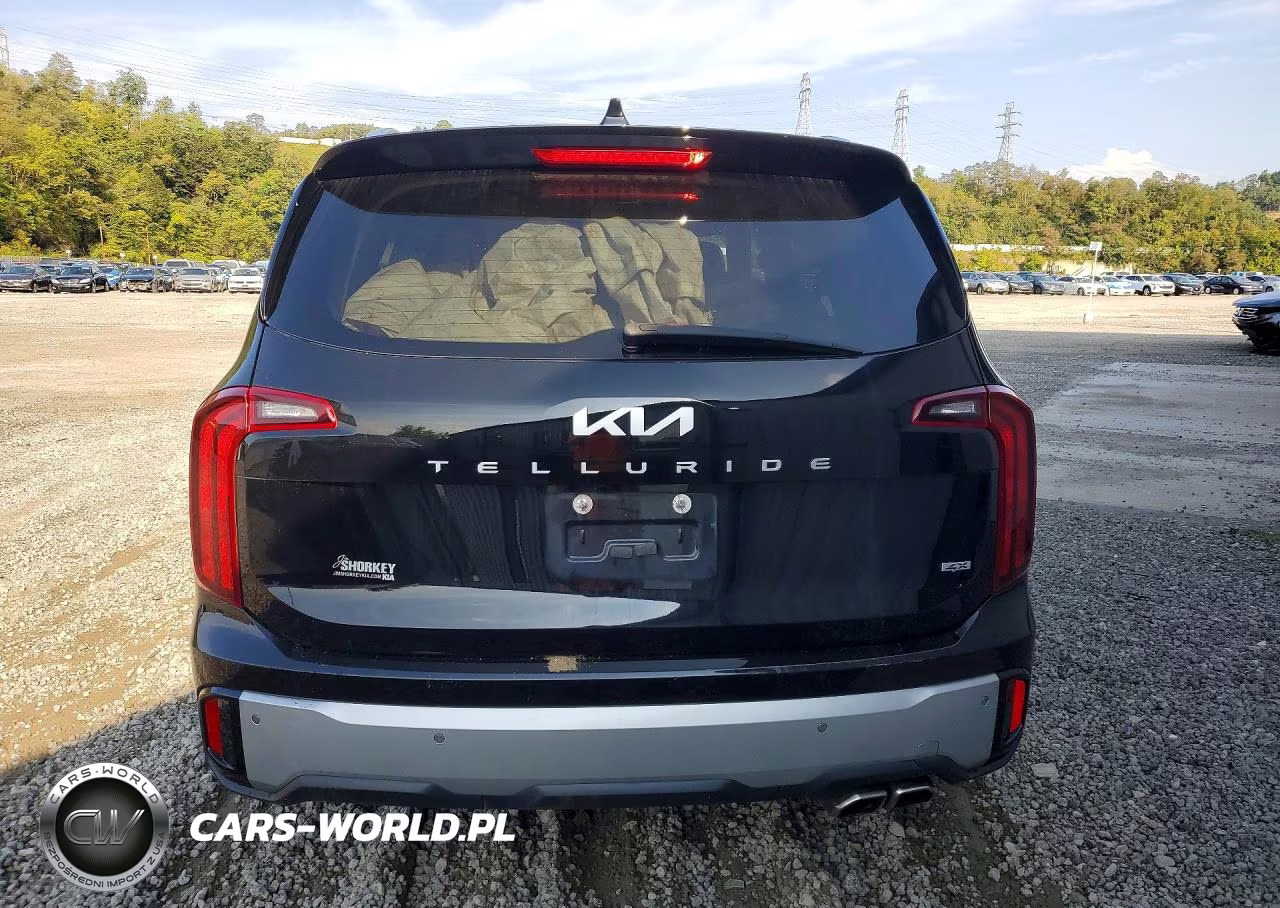 2024 Kia Telluride S VIN:5XYP6DGC1RG414626 - 6