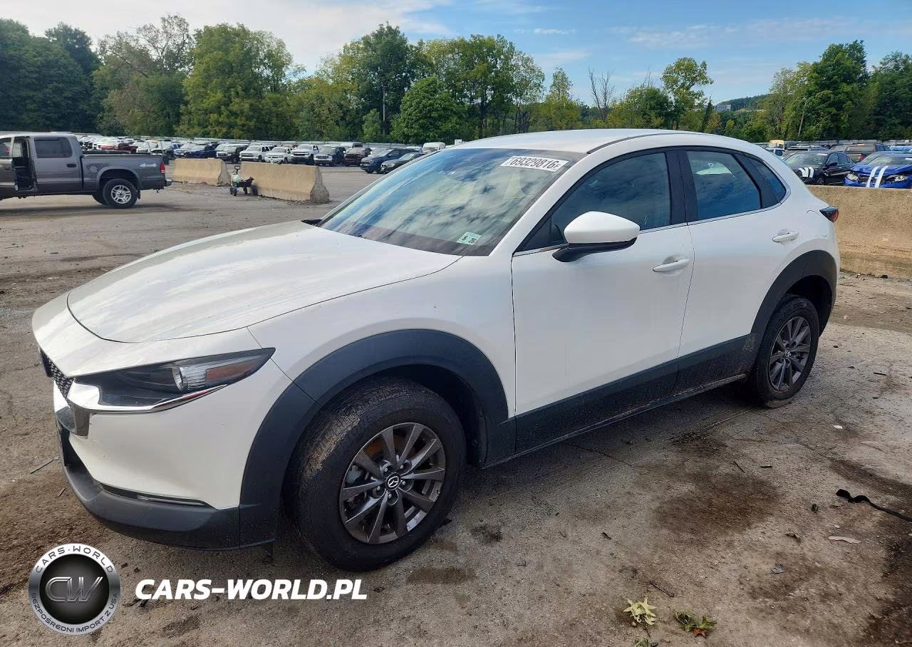 2021 Mazda Cx-30 VIN:3MVDMBAL4MM300720 - 1