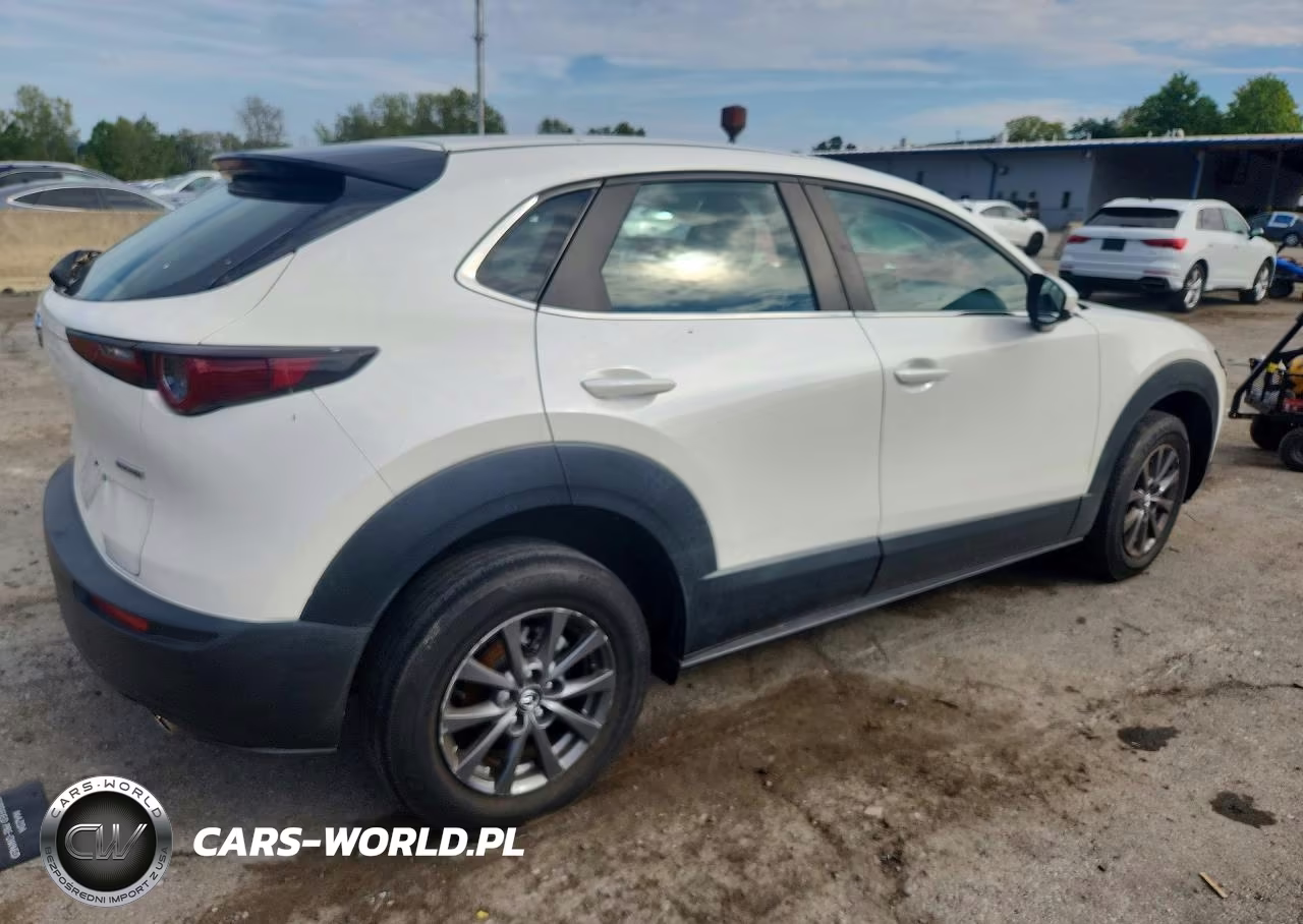 2021 Mazda Cx-30 VIN:3MVDMBAL4MM300720 - 3