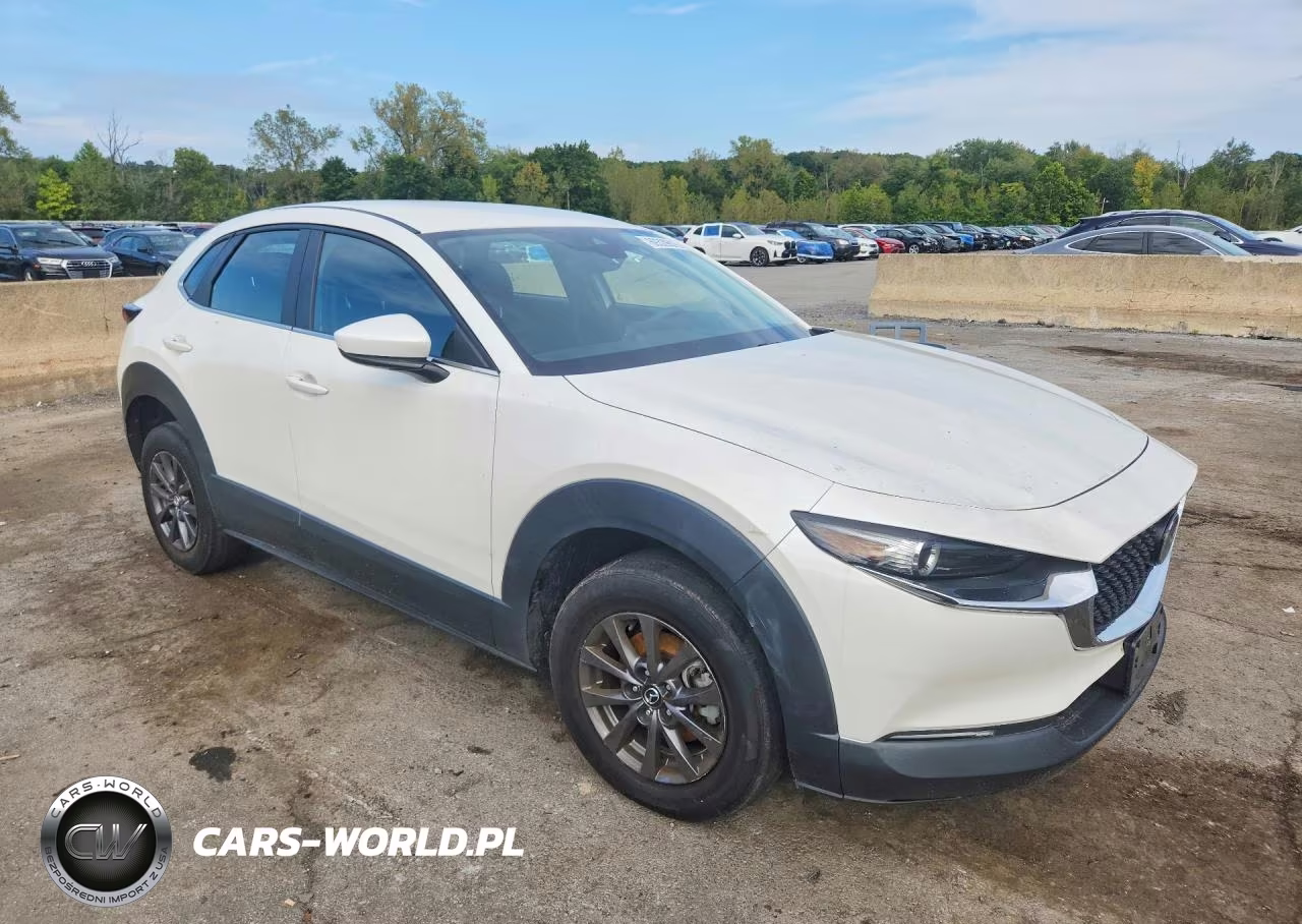 2021 Mazda Cx-30 VIN:3MVDMBAL4MM300720 - 4