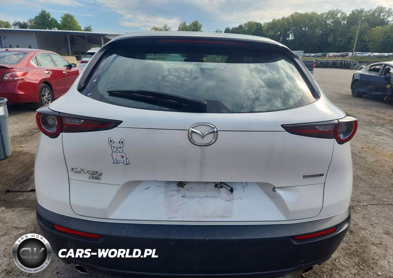 2021 Mazda Cx-30 VIN:3MVDMBAL4MM300720 - 6