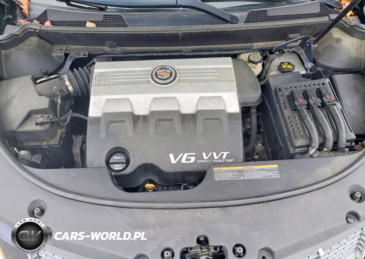 2010 Cadillac Srx Performance Collection VIN:3GYFNEEY8AS538666 - 12
