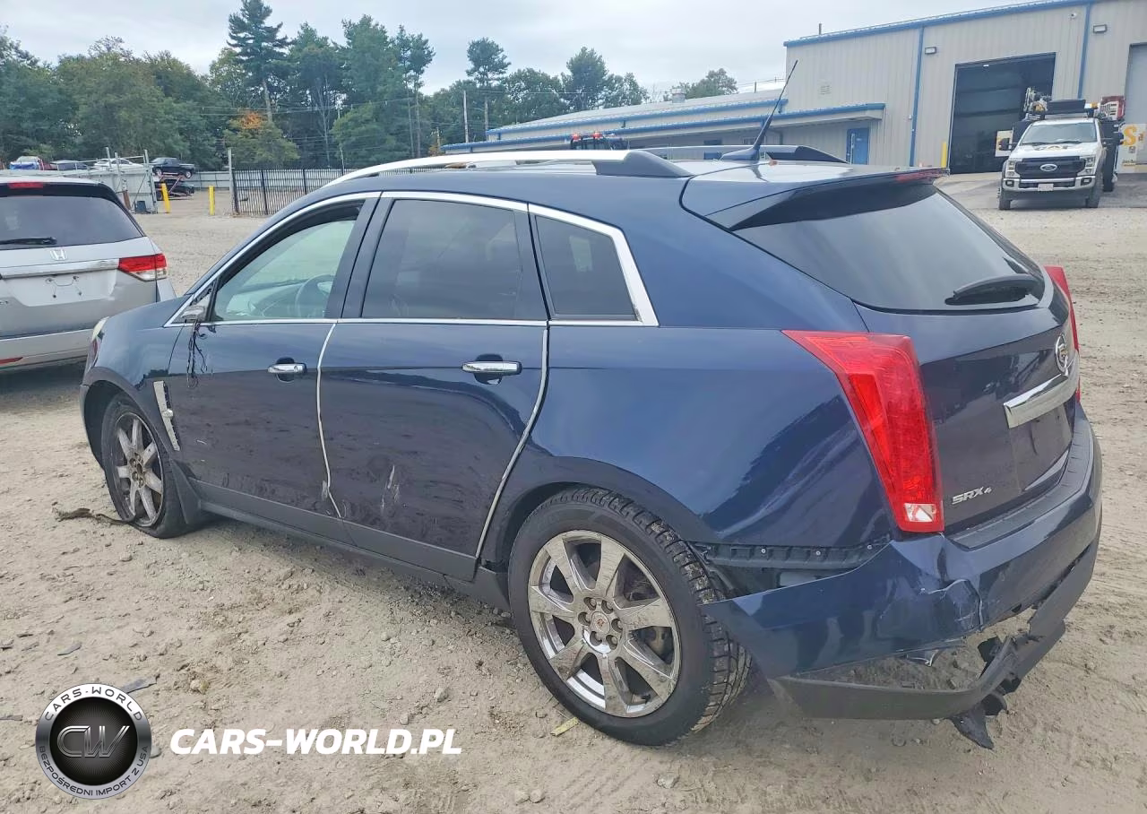 2010 Cadillac Srx Performance Collection VIN:3GYFNEEY8AS538666 - 2