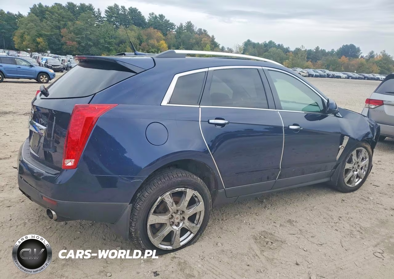 2010 Cadillac Srx Performance Collection VIN:3GYFNEEY8AS538666 - 3
