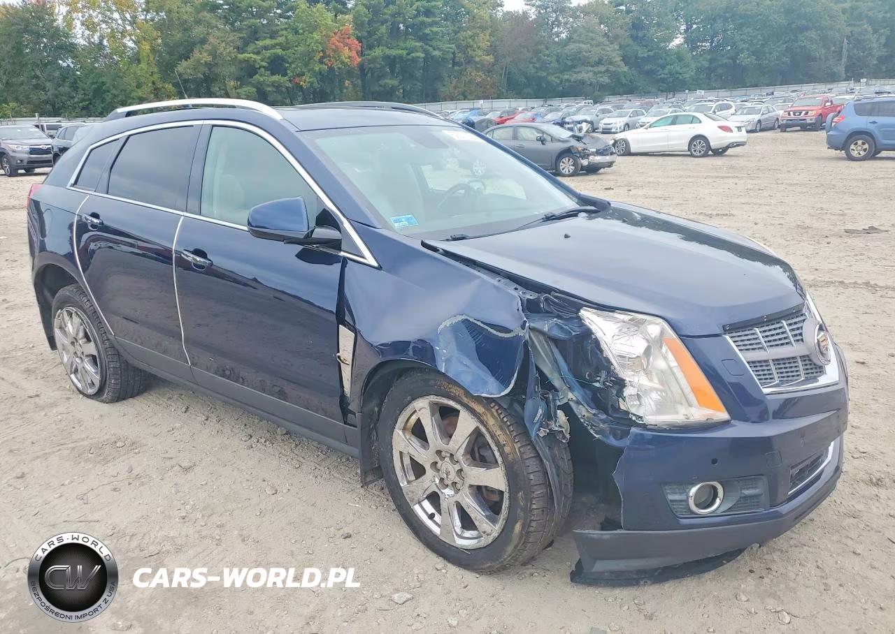 2010 Cadillac Srx Performance Collection VIN:3GYFNEEY8AS538666 - 4