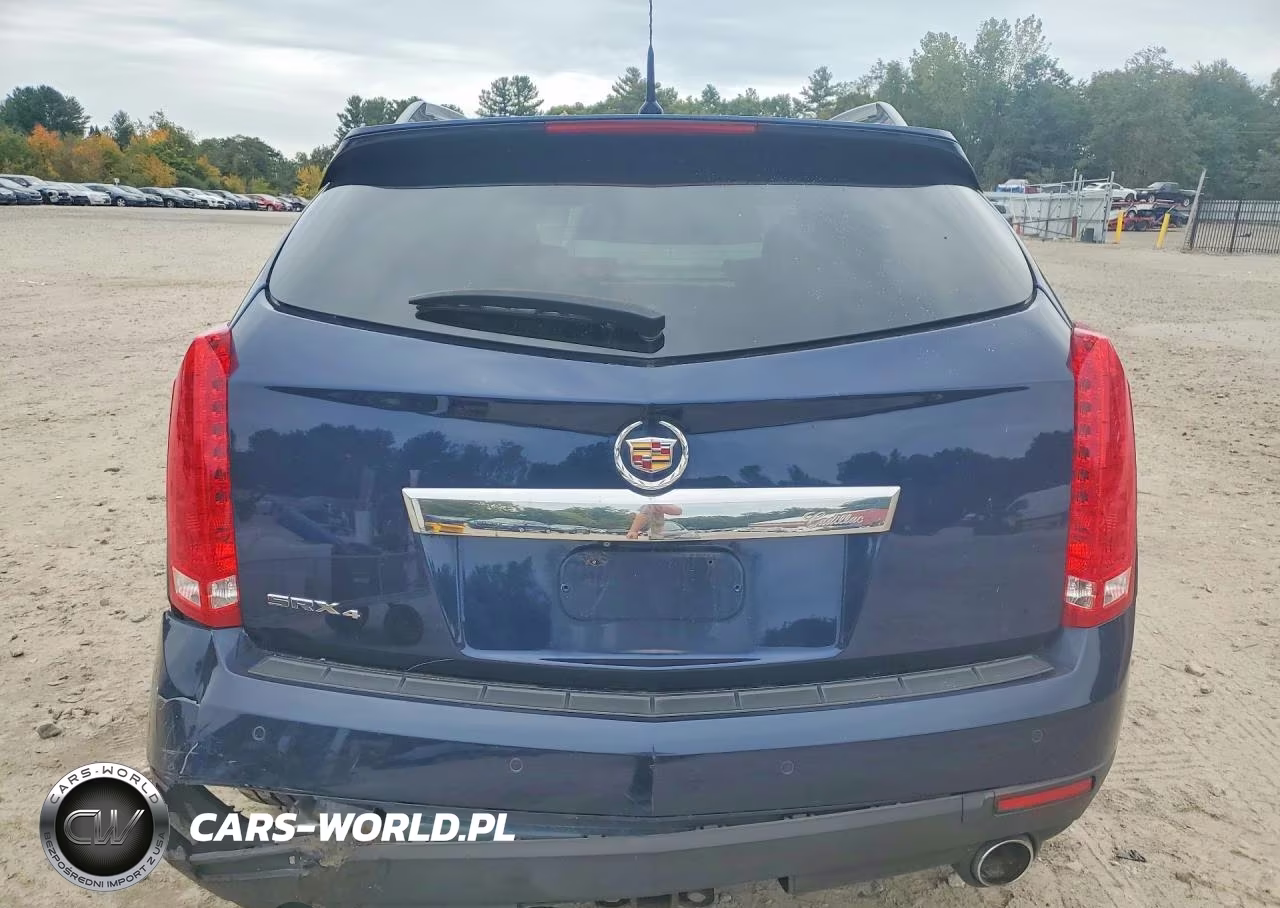 2010 Cadillac Srx Performance Collection VIN:3GYFNEEY8AS538666 - 6