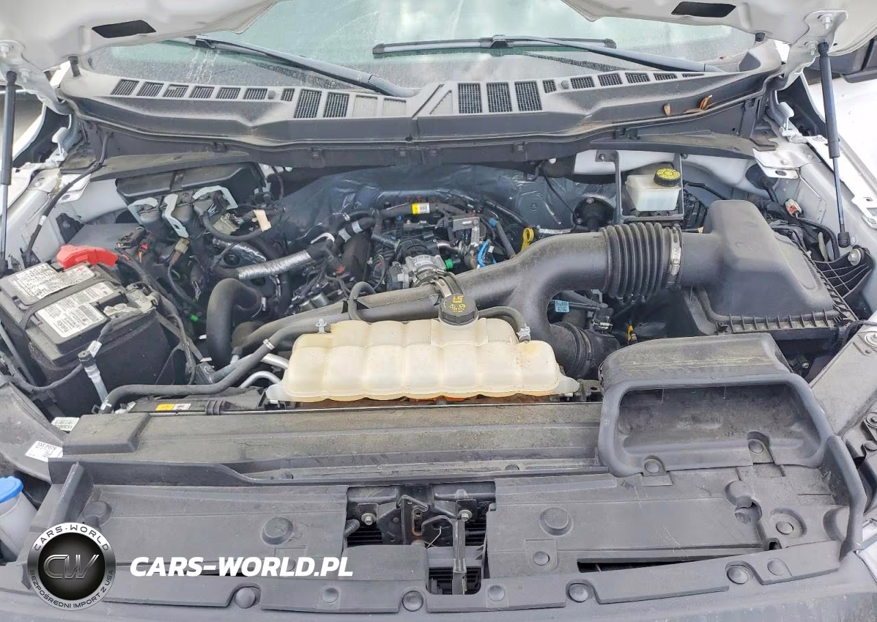 2023 Ford F150 Supercrew VIN:1FTEW1EP0PKE68096 - 12