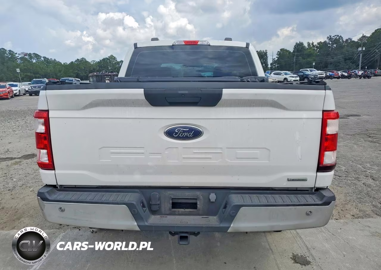 2023 Ford F150 Supercrew VIN:1FTEW1EP0PKE68096 - 6