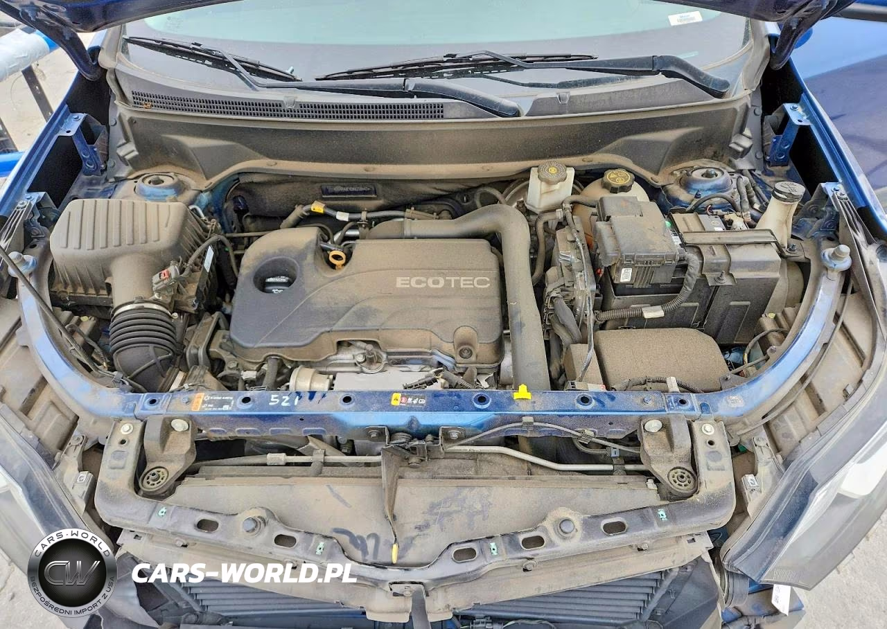2019 Chevrolet Equinox Lt VIN:2GNAXJEV2K6238542 - 12