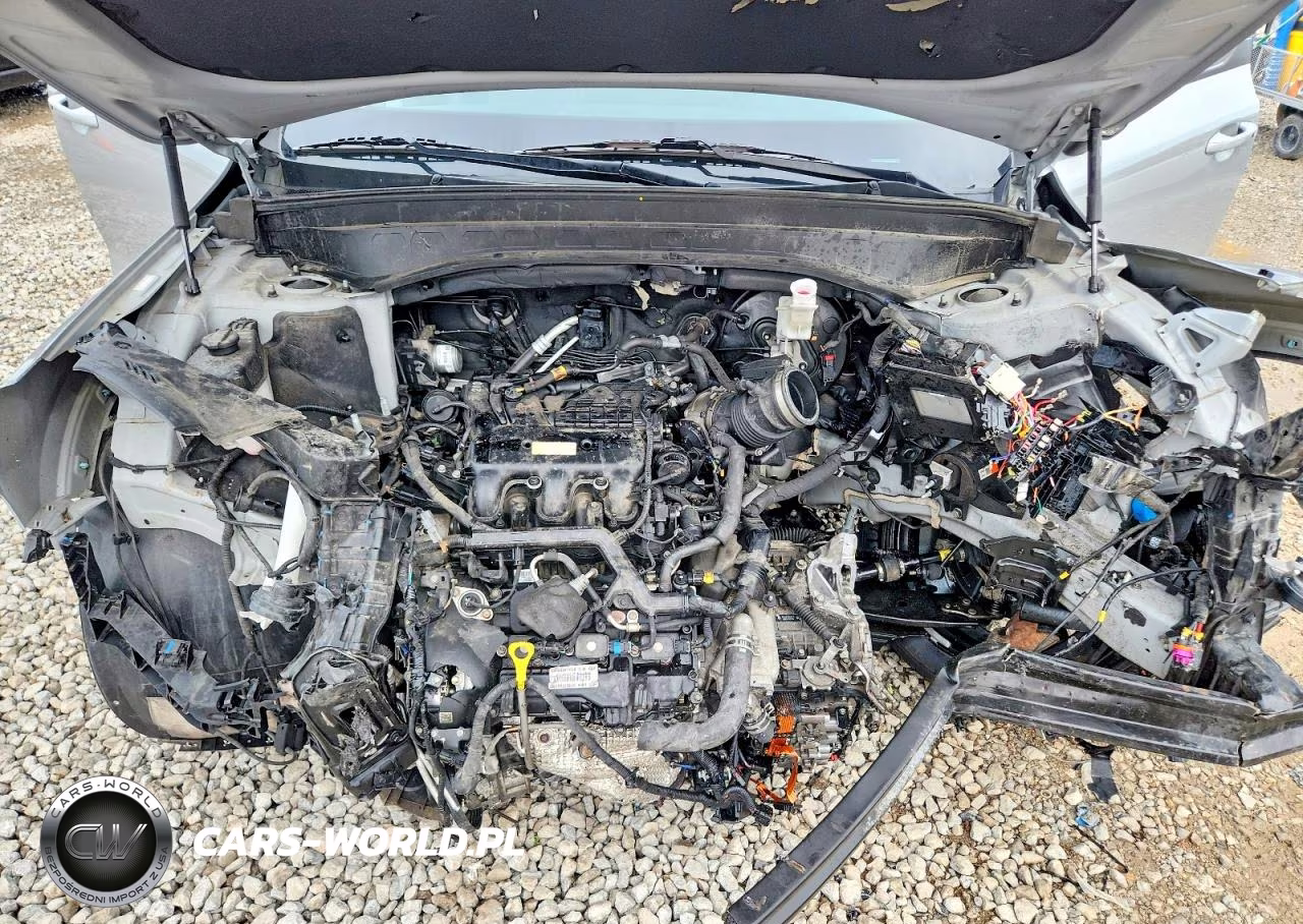 2022 Kia Telluride Ex VIN:5XYP3DHC3NG323276 - 12