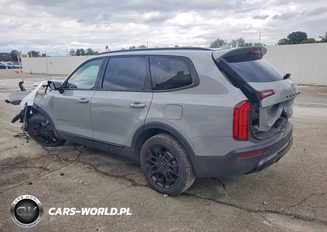 2022 Kia Telluride Ex VIN:5XYP3DHC3NG323276 - 2
