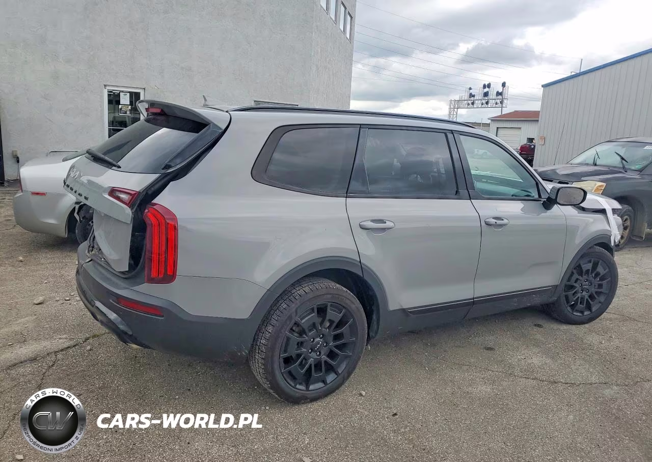 2022 Kia Telluride Ex VIN:5XYP3DHC3NG323276 - 3