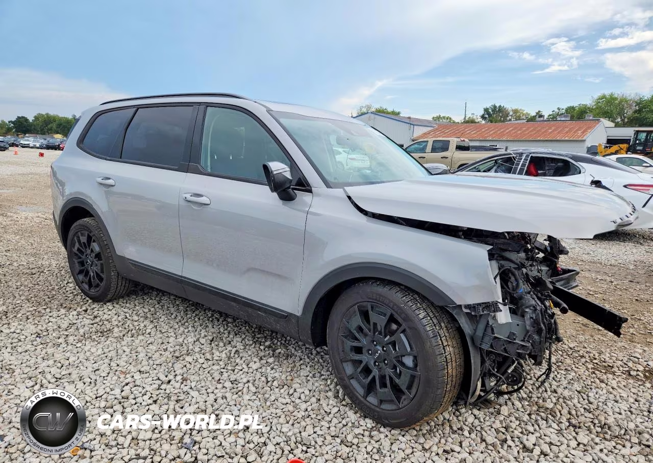 2022 Kia Telluride Ex VIN:5XYP3DHC3NG323276 - 4