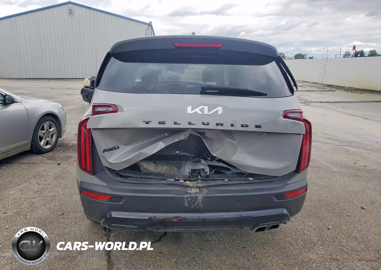 2022 Kia Telluride Ex VIN:5XYP3DHC3NG323276 - 6