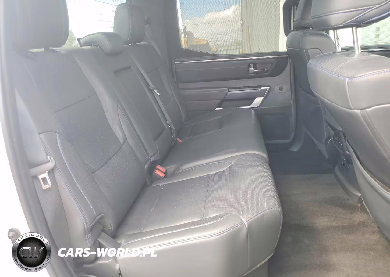 2024 Toyota Tundra Platinum VIN:5TFNA5DB5RX187543 - 10