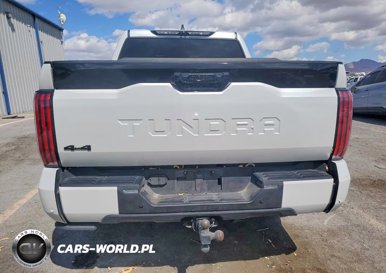 2024 Toyota Tundra Platinum VIN:5TFNA5DB5RX187543 - 6