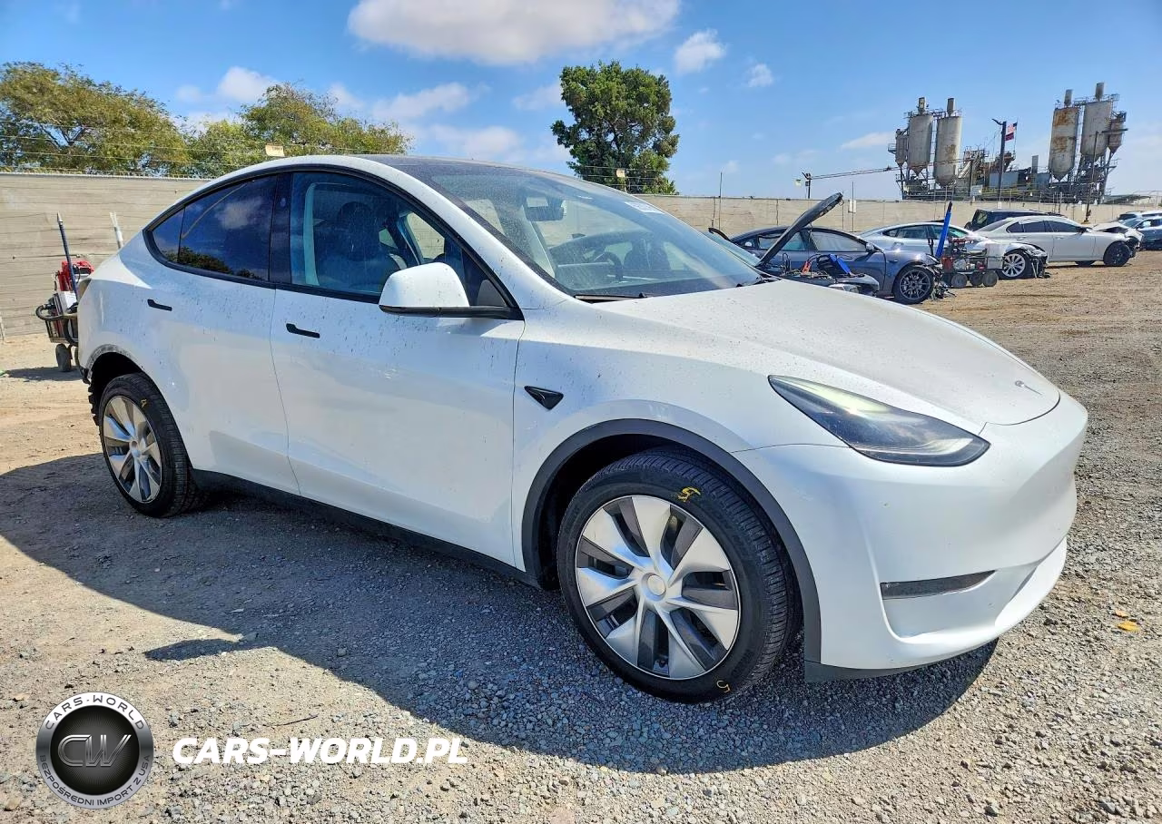 2023 Tesla Model Y VIN:7SAYGDEE3PA188132 - 4