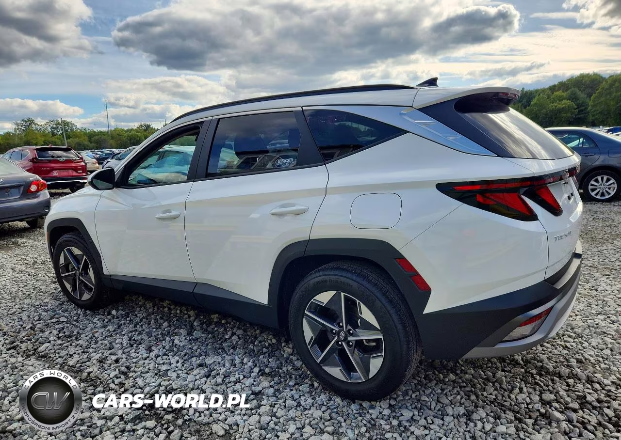 2025 Hyundai Tucson Sel VIN:5NMJB3DE0SH565390 - 2