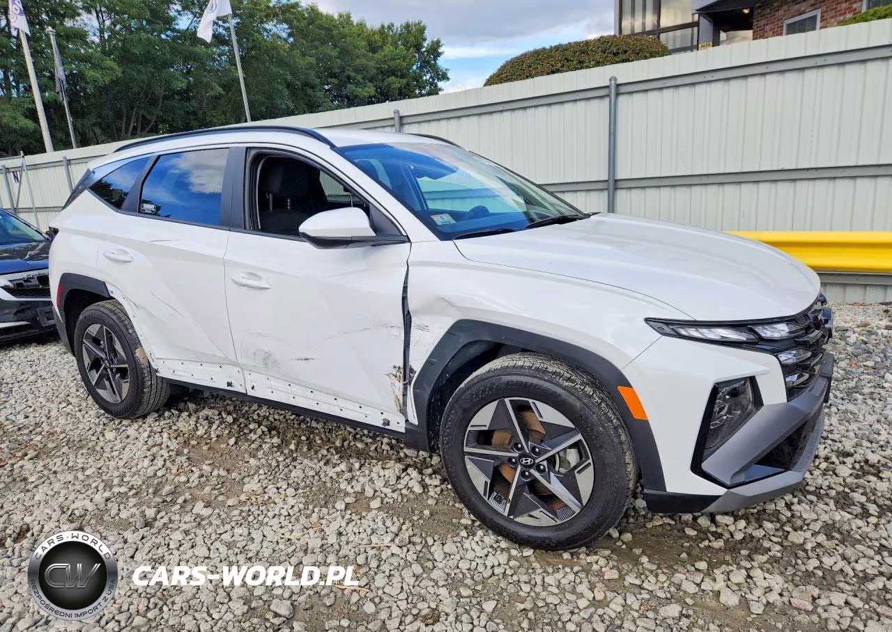 2025 Hyundai Tucson Sel VIN:5NMJB3DE0SH565390 - 4